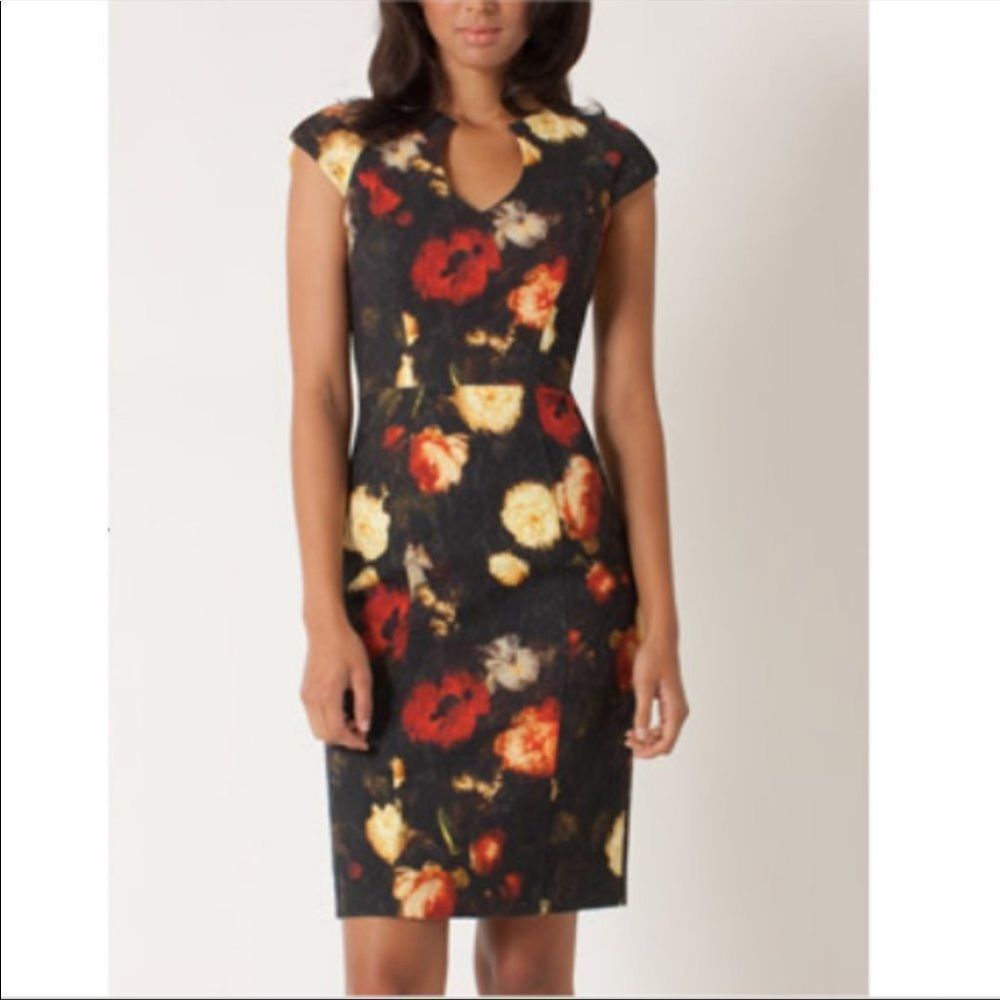 Black Halo Stefan Rembrandt Rose-Print Sheath size 0 Floral Black and Red
